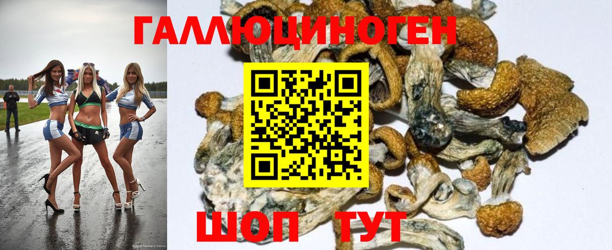 Псилоцибиновые грибы Psilocybe  Псилоцибиновые грибы Psilocybe  Рязань  Вход с VPN 