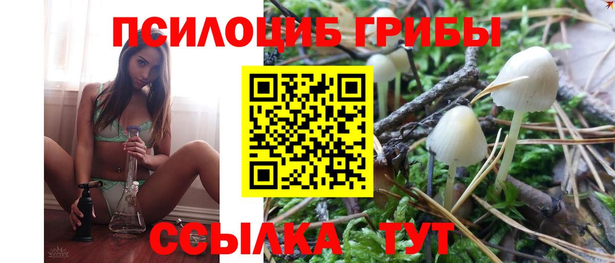 Галлюциногенные грибы GOLDEN TEACHER Рязань